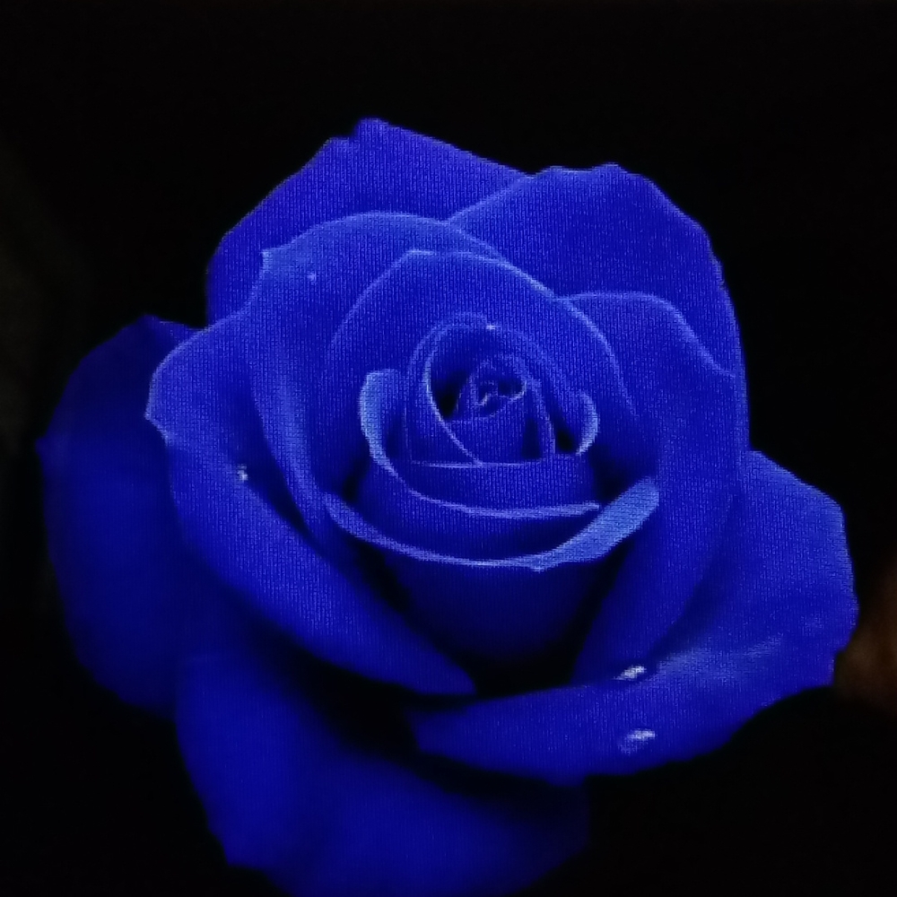 Meet your Posher, Nhat